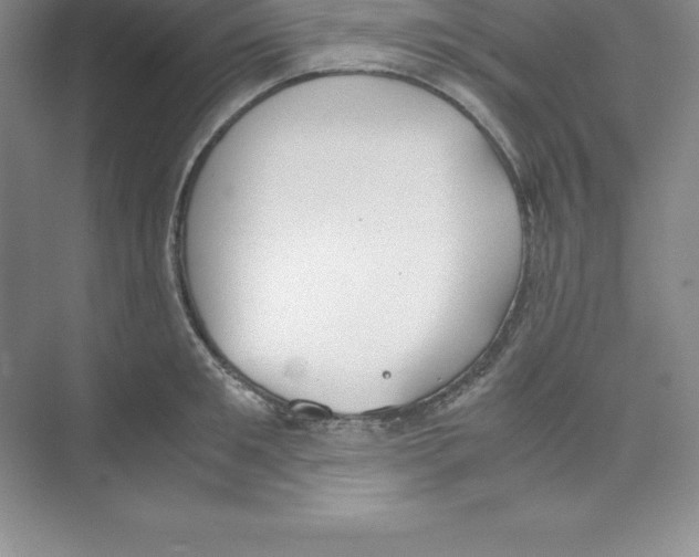 X0000074210901200609221938