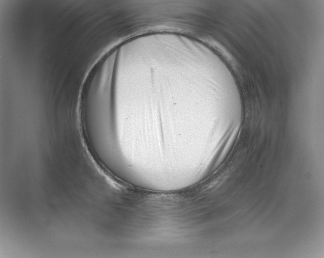 X0000074210902200609221938