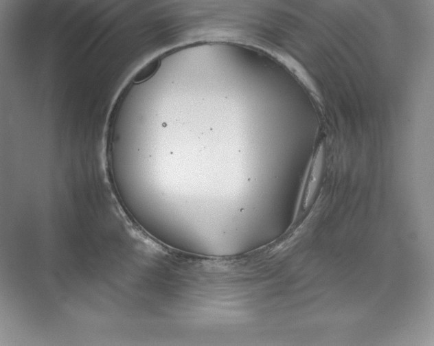 X0000074210904200609221938