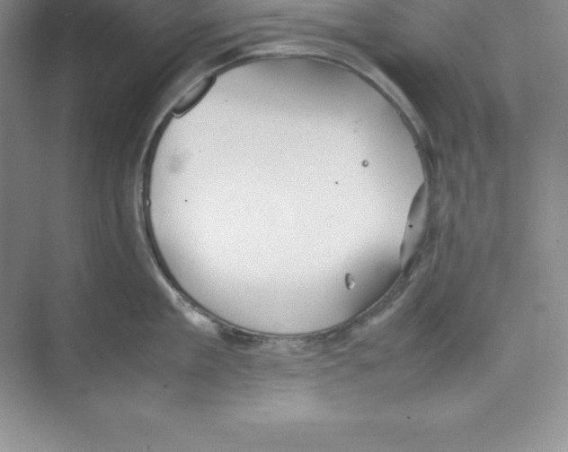 X0000074210909200609221938