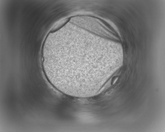 X0000074210911200609221938