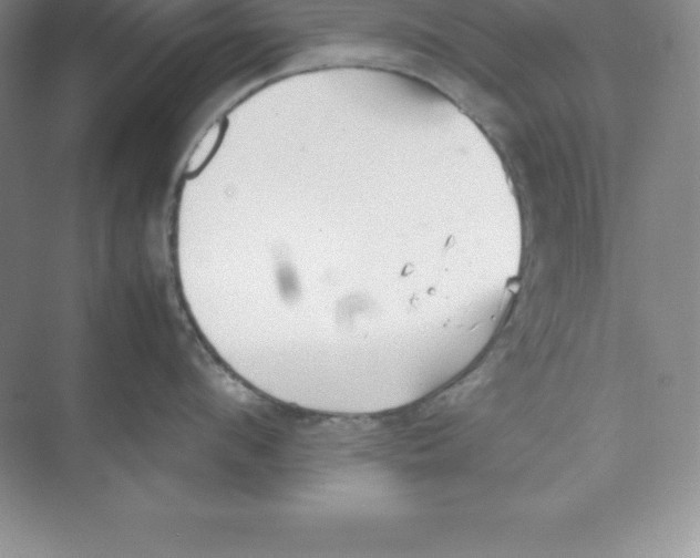 X0000074210912200609221938