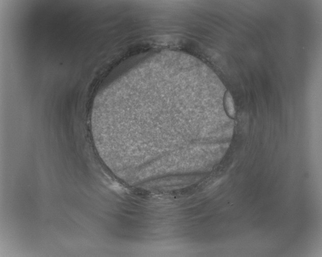 X0000074210913200609221937