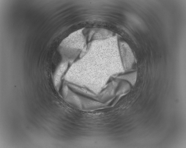 X0000074210919200609221937