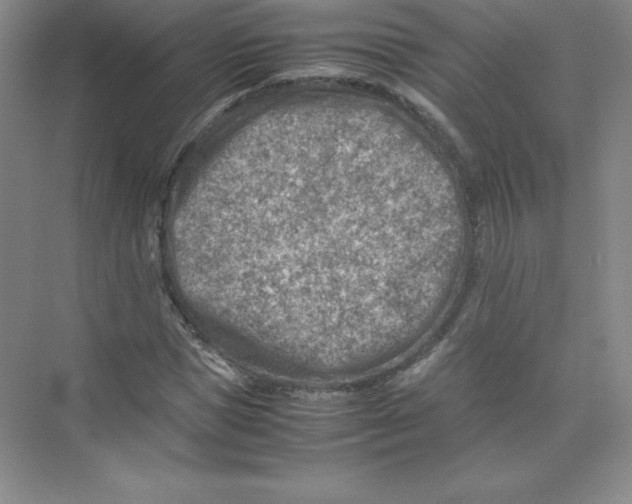 X0000074210921200609221937