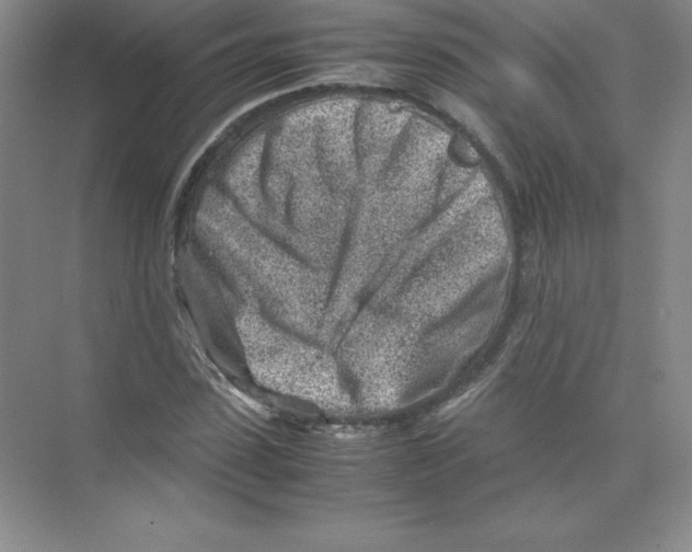 X0000074210923200609221937