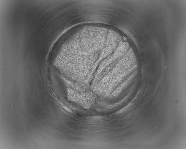 X0000074210925200609221937