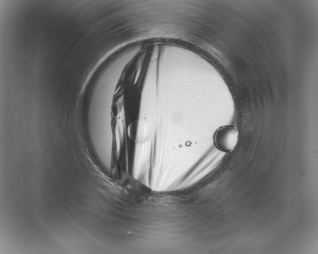 X0000074210926200609221937