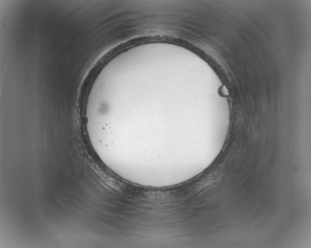 X0000074210927200609221937