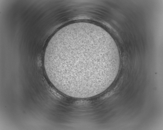 X0000074210929200609221937