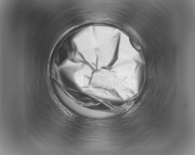 X0000074210932200609221938