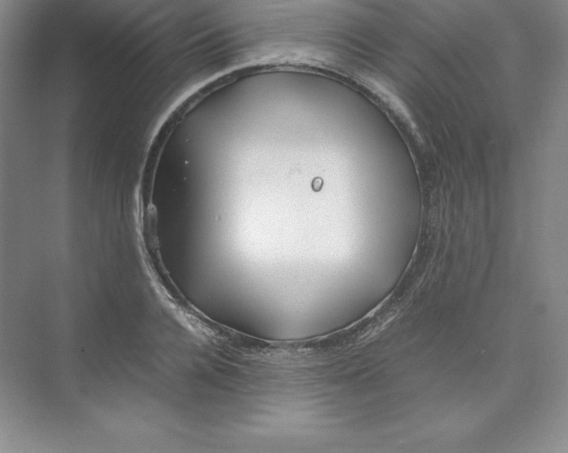 X0000074210936200609221938