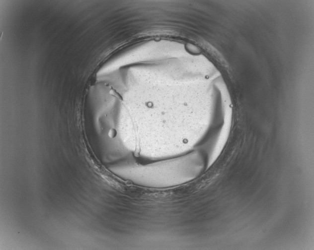 X0000074210937200609221938