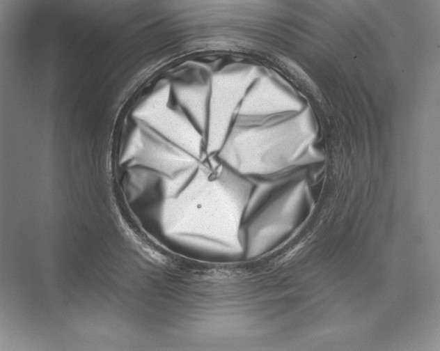 X0000074210938200609221938