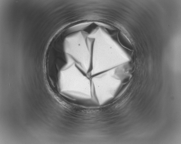 X0000074210939200609221938