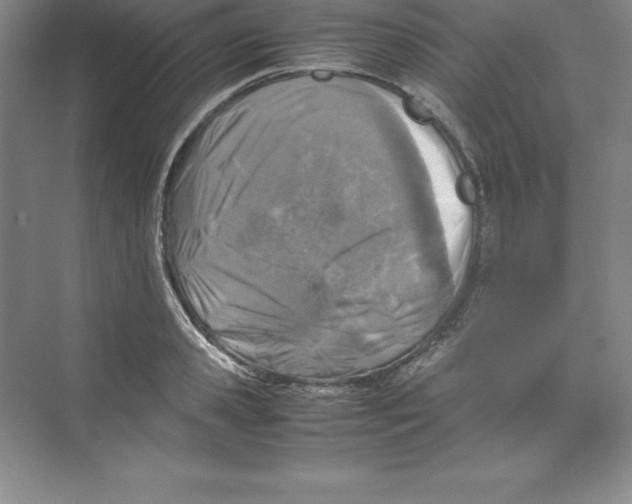 X0000074210941200609221938