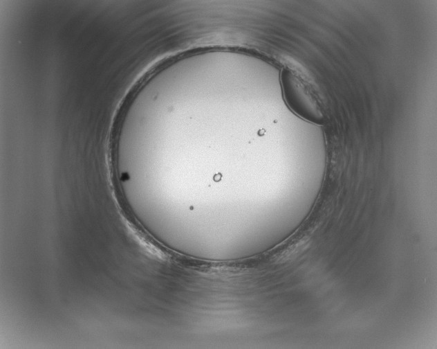 X0000074210942200609221938