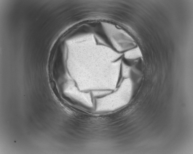 X0000074210943200609221938