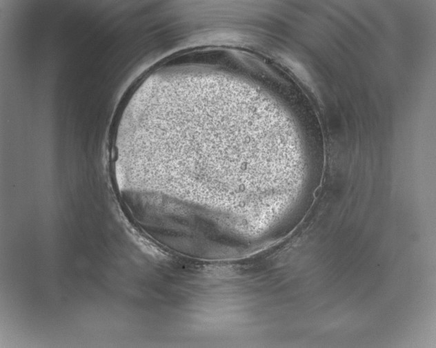 X0000074210944200609221938