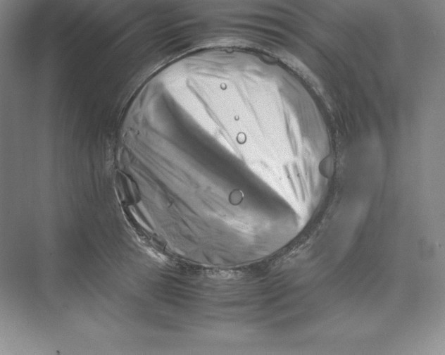 X0000074210945200609221938