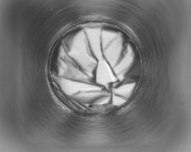 X0000074210946200609221938