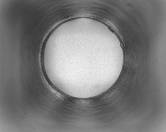 X0000074210947200609221938