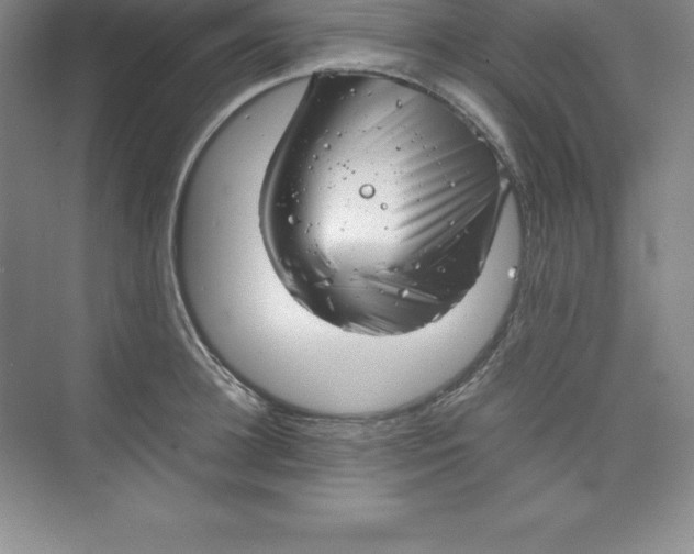 X0000074210948200609221938