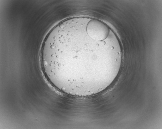 X0000074210949200609221938