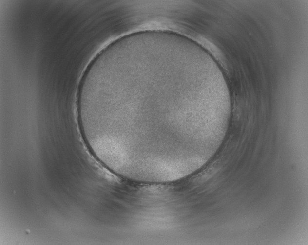 X0000074210950200609221938