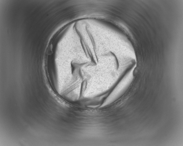 X0000074210952200609221938