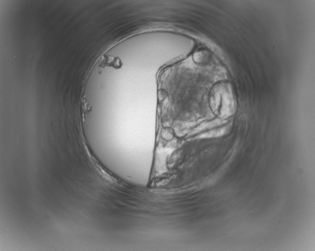 X0000074210953200609221938