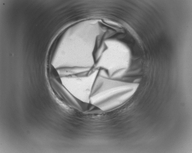 X0000074210955200609221938