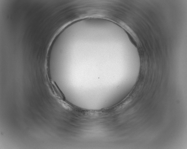 X0000074210956200609221938