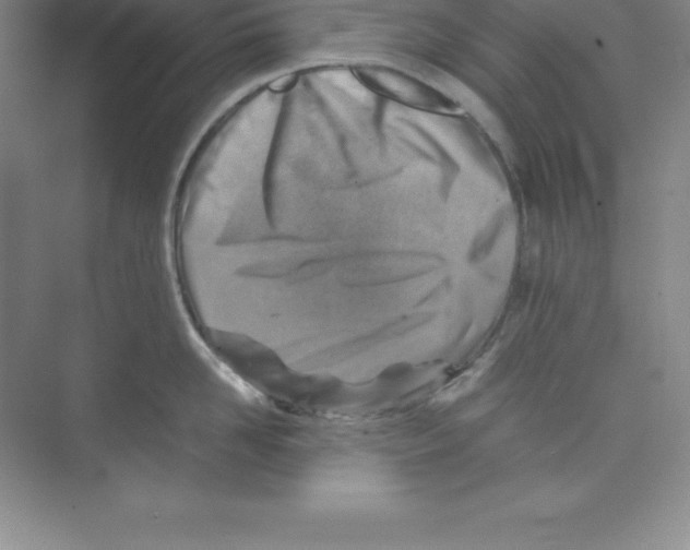 X0000074210958200609221938