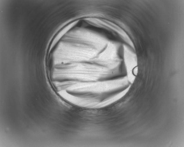 X0000074210959200609221938