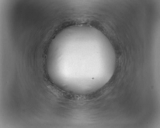 X0000074210961200609221937