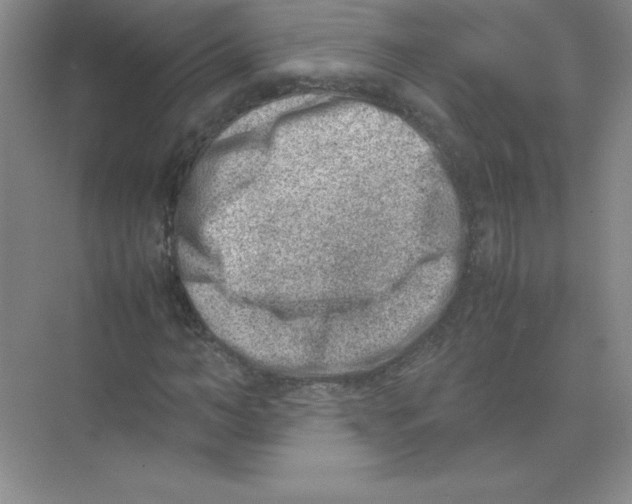 X0000074210966200609221937