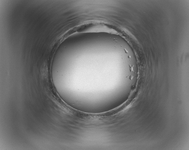 X0000074210969200609221937