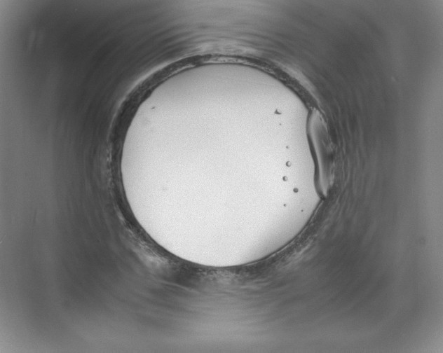 X0000074210971200609221937