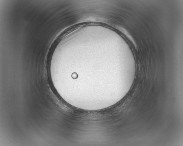 X0000074210972200609221937