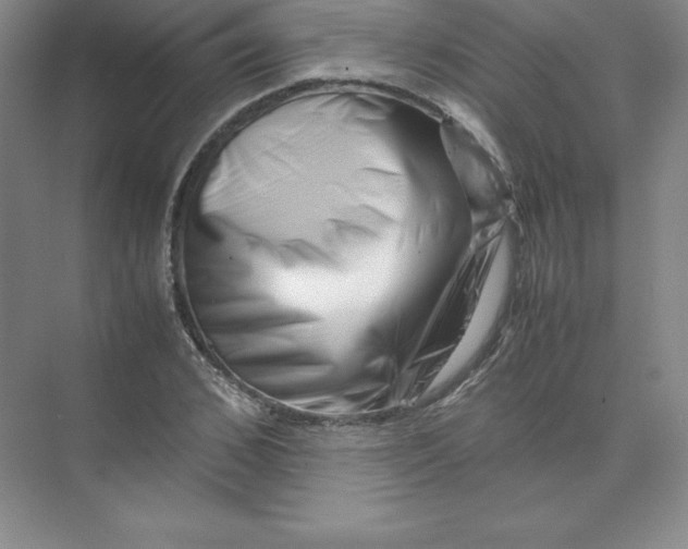 X0000074210976200609221937