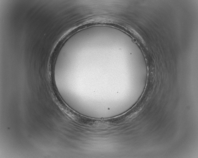 X0000074210981200609221937