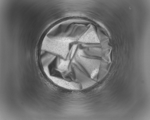 X0000074210983200609221937