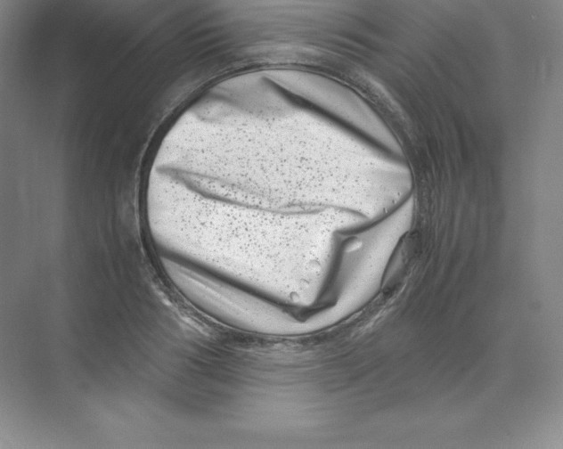 X0000074210986200609221937