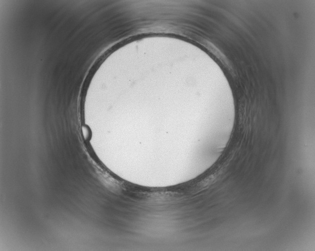 X0000074210988200609221937