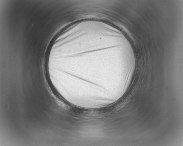 X0000074210991200609221937