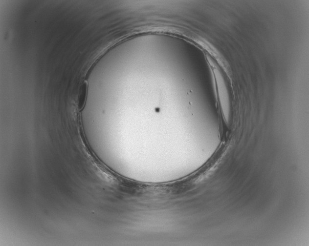 X0000074210993200609221937