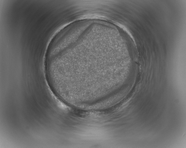 X0000074210995200609221937