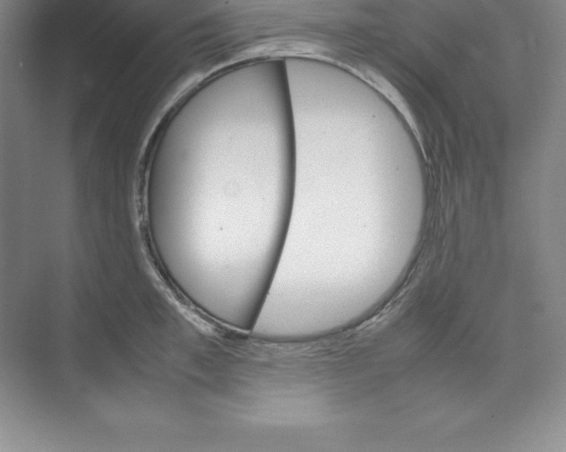 X0000074210997200609221937