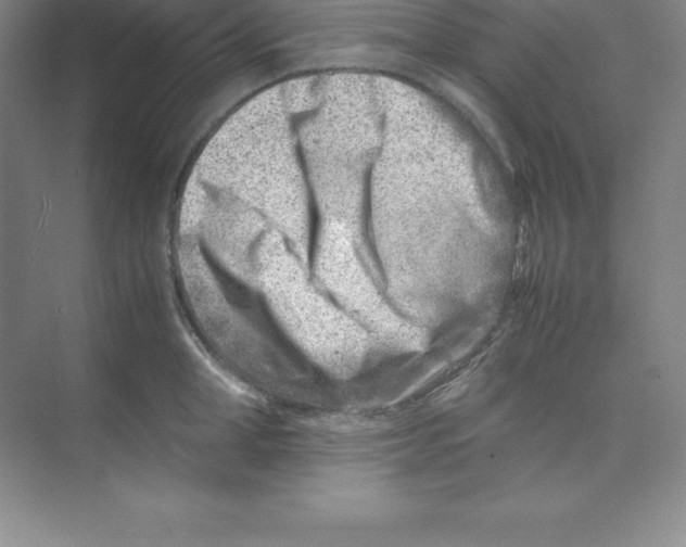 X0000074210998200609221937